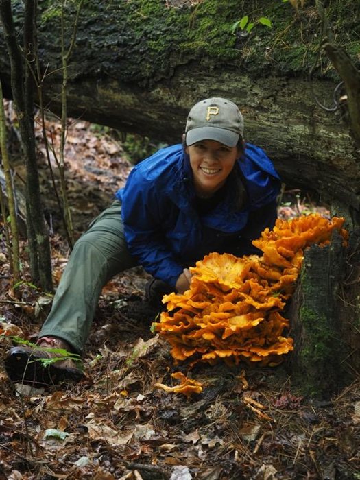 Robin crouched beside a large orange chicken-of-the-woods mushroom growing from a fallen log