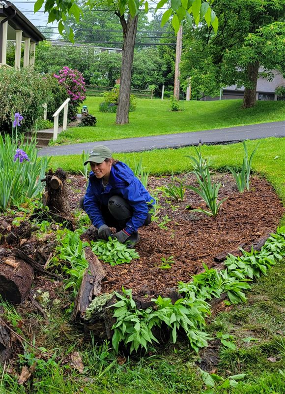 Robin kneeling in a newly planted garden bed on a hillside
